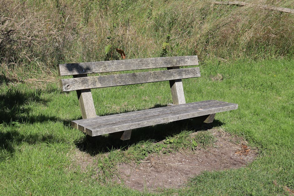 A person sitting on a bench overlooking water, no phone in sight, simply watching the day pass