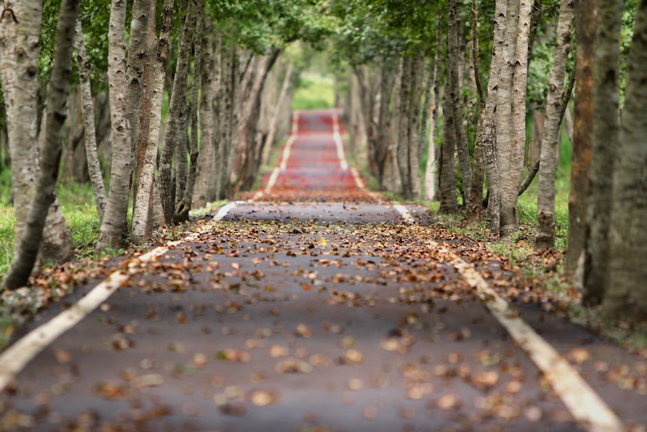 A woman walking a quiet nature path in soft afternoon light